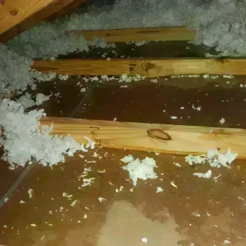 Attic Water Damage in Overton County, TN